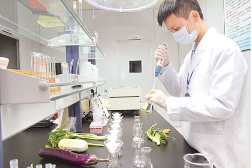 实验室开放管理制度